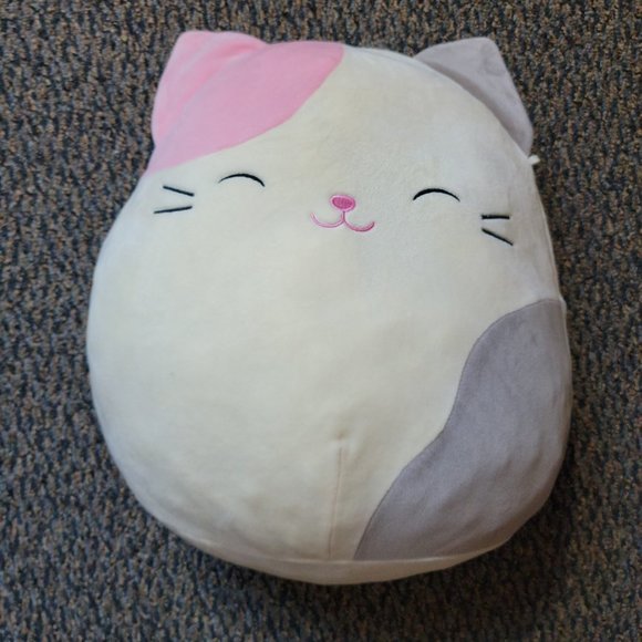 Charlotte the Pink and Purple Calico Cat Squishmallows Dated 10/2017 - Picture 1 of 13